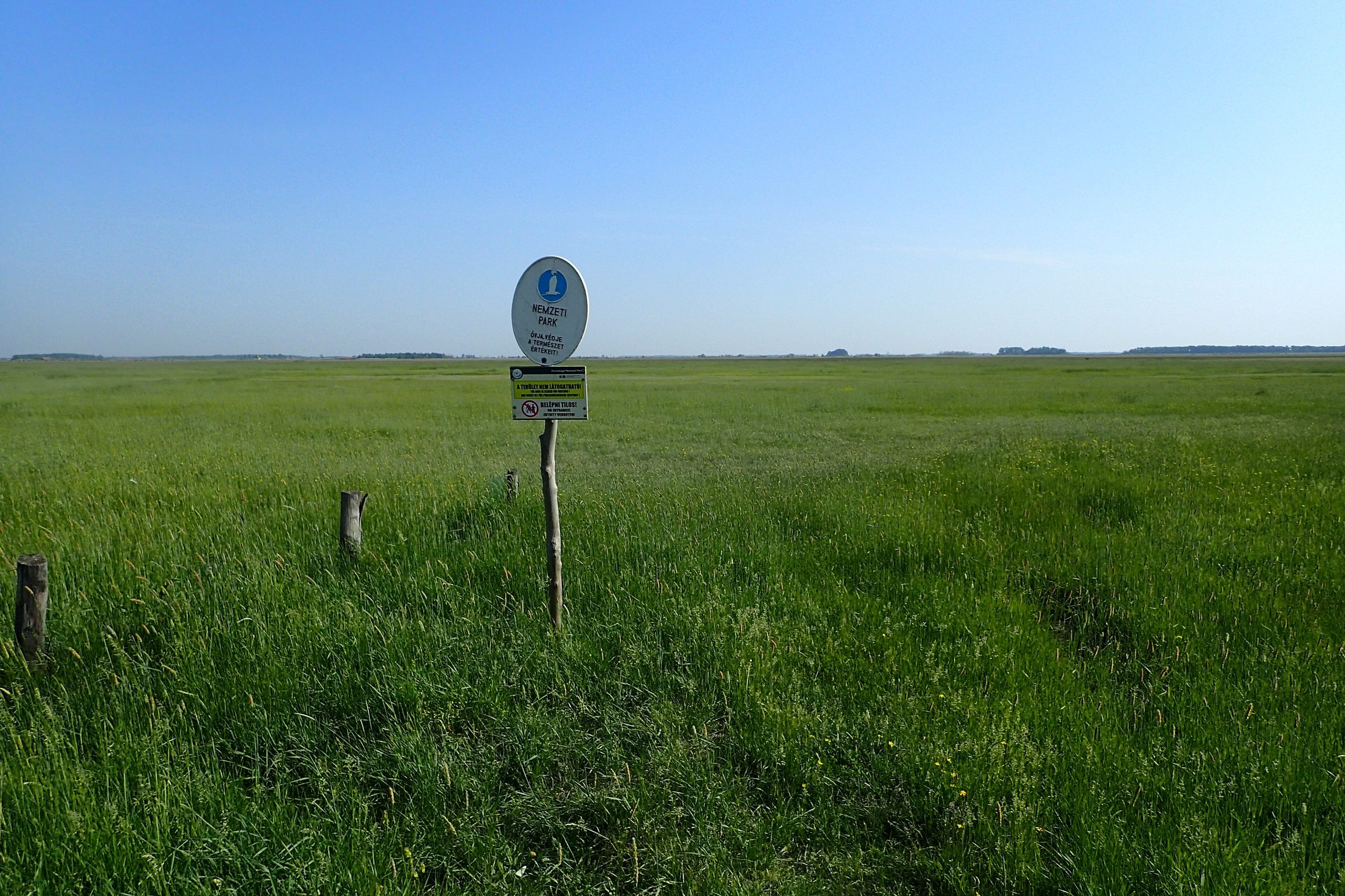 Open grassland horizon of the Hortobágy Puszta in Hungary
